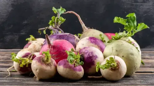 Foods for Blood Purification and Detoxification
